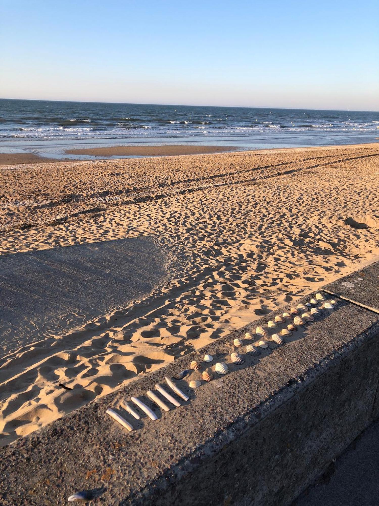 Le Petit Navire - Acces Direct Plage Cabourg Ngoại thất bức ảnh